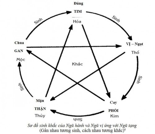 Quan niệm độc đáo theo Đông y về bệnh “Yếu” của quý ông