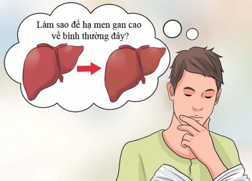 Thoát khỏi men gan cao