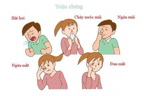 Chấm dứt viêm mũi dị ứng